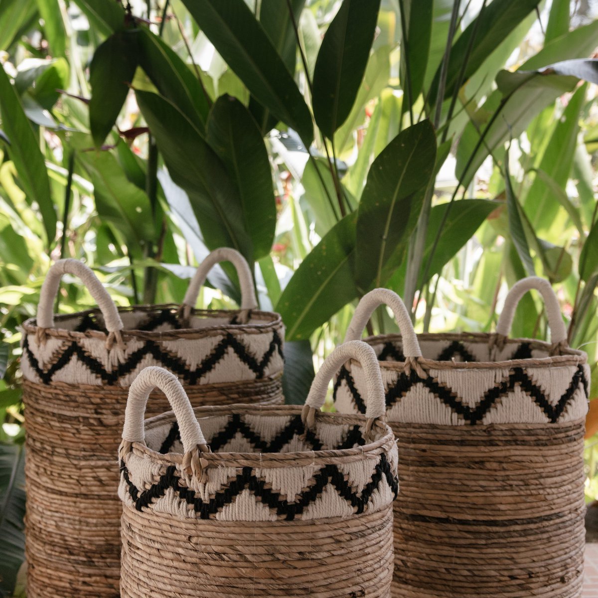 „Korb DALU aus natürlicher Bananenfaser, handgeflochten im Boho-Stil, vielseitig einsetzbar als Wäschekorb, Aufbewahrung oder Pflanzkorb – erhältlich in drei Größen mit attraktivem zickzack Muster am oberen Rand . Der Hintergrund aus großen grünen blättern bildet einen schönen Kontrast zu den Körben.